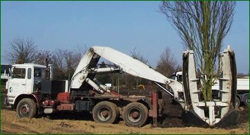 Transplantation d'arbres