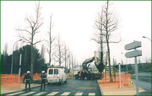 Transplanteuse en action à Rennes